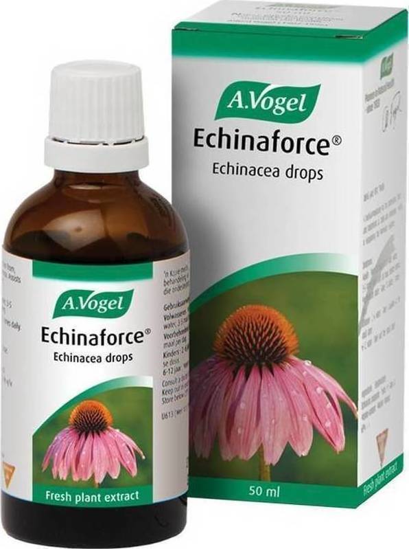 A.Vogel Echinaforce 50ml - Βάμμα Εχινάκειας Για Την Αντιμετώπιση Των Κρυολογημάτων και Την Ενίσχυση Του Ανοσοποιητικού